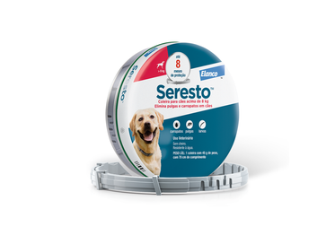 SERESTO 36X1 COLEIRA G 70CM CAES ELANCO PET