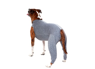 Protetor de Membros Posterior Duo Dry Color 16  1un