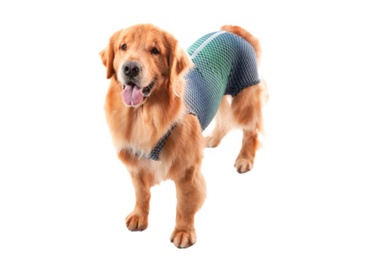 Roupa Castracao Macho Ultralight Color Azul Verde Geo 09  1un