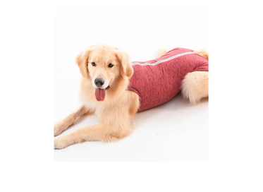 Roupa Regular Duo Dry Rosa 16  1un