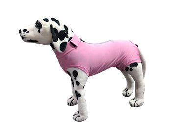 Roupa protetora e pós-cirúrgica para cão unissex dry light cor rosa Ibasa tamanho 06  1un