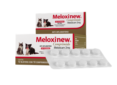 Meloxinew 2g  Display c/ 12