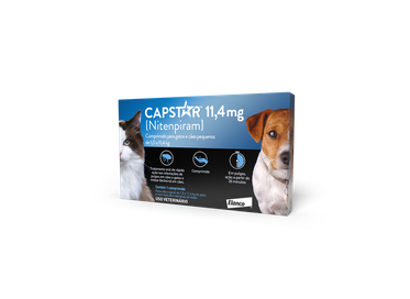 CAPSTAR CAES E GATOS 11,4 MG 20X1CP ELANCO PET ()