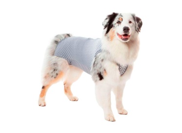 Roupa Regular Ultralight Color Cinza Geo 08  1un