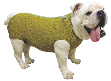 Roupa Buldogue Ingles Dry P  1un
