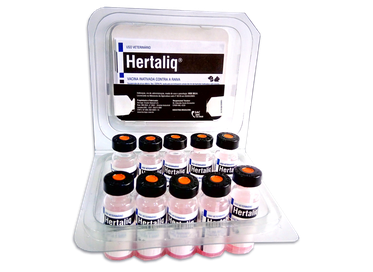 Vacina Hertaliq Raiva Caes e Gatos  