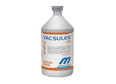 Vacsules H 100 ml  