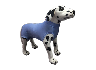 Roupa protetora e pós-cirúrgica para cão macho dry light cor azul Ibasa tamanho 08  1un
