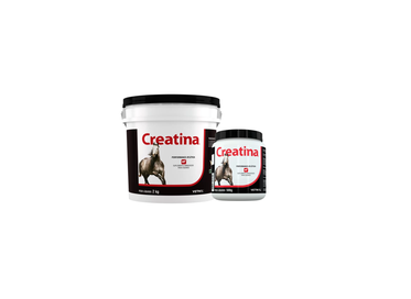 Creatina  500g hover