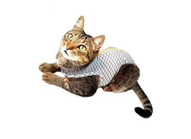 Roupa Gato Ultralight Color Cinza Geo 0  1un