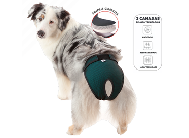 Protetor absorvente Femea 05 Verde