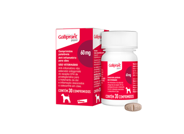 GALLIPRANT 60MG 48X30CP CAES 13,6-34KG ELANCO PET