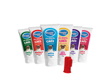 Gel Dental Sabores + Dedeira  1
