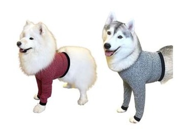 Prot  Membros Anteriores e Peito  Duo Dry 0