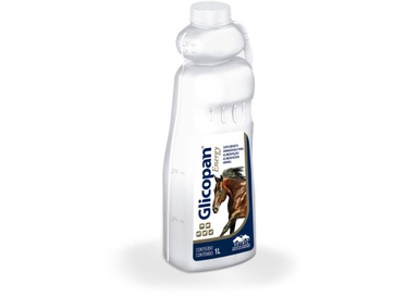Glicopan Energy  1L