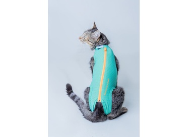 RP ULTRAT PROTEC & SPORTS GATOS FEMEAS & MACHOS VE