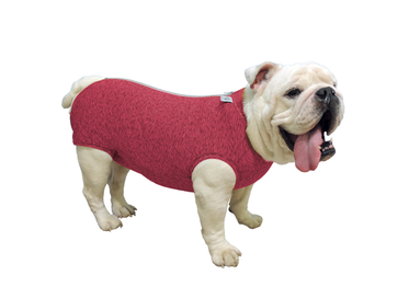 Roupa Fit Racas Duo Dry Buldogue Ingles  Rosa G  1un