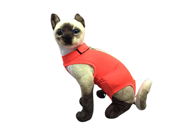 Roupa protetora e pós-cirúrgica para gato unissex dry light cor laranja Ibasa tamanho 00  1un