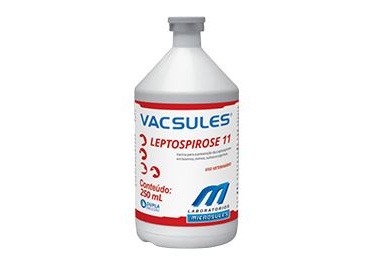 Vacsules Leptospirose 11 100 mL  