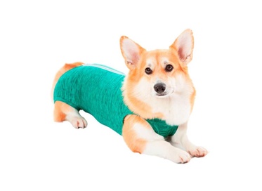 Roupa Regular Duo Dry Verde Mescla 14  1un