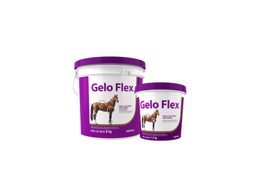 Gelo Flex  1,2Kg hover