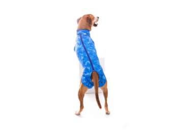 RPC SUPREME MACHO  AZUL 1 PET MED