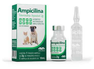 Ampicilina Injetável 2g  10ml