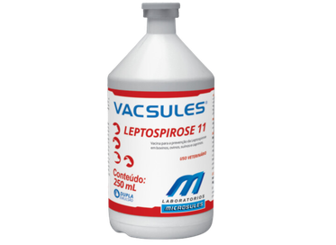 Vacsules Leptospirose 11 250ml  