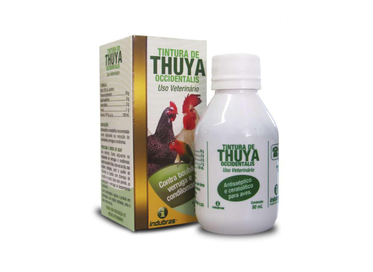 Tintura de Thuya  90mL