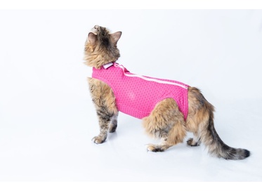 RP ULTRAT PROTEC & SPORTS GATOS FEMEAS & MACHOS RO