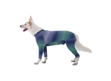 RPPC ULTRAL  CORPO E MEMBROS AZUL/VERDE GEO | 07 P