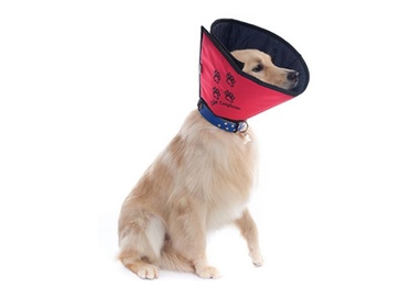 Colar Conforto Color 07  1un