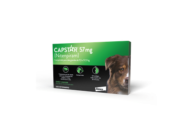 CAPSTAR CAES 57 MG 20X1 CP ELANCO PET