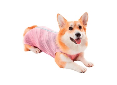 Roupa Regular Ultralight Color Rosa Ball 0  1un