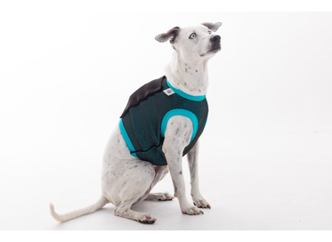 Colete Holter Verde 2  Pet Med