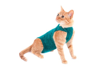 Roupa Gato Duo Dry Verde Mescal 1  1un