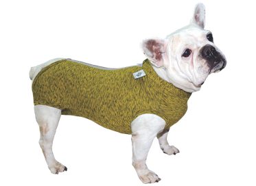 Roupa Castraçao Buldogue Frances Dry G  1un