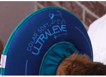 COLAR SOFT ULTRALEVE PARA GATOS - AZUL M PET MED