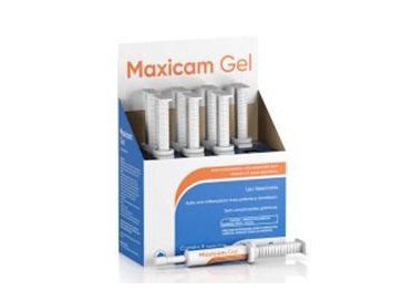 Maxicam Gel Alta Performace  30g