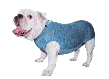 Roupa Castracao F D D Bul Ingles Azul GG  1un