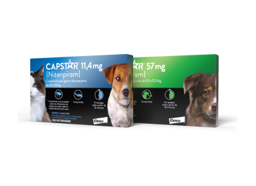 CAPSTAR CAES E GATOS 11,4 MG 20X1CP ELANCO PET ()