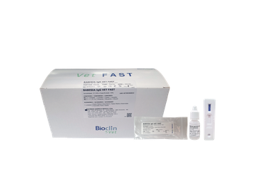 TESTE 10 BABESIA IGG BIOCLIN