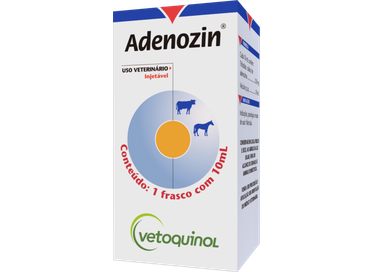 Adenozin  10mL