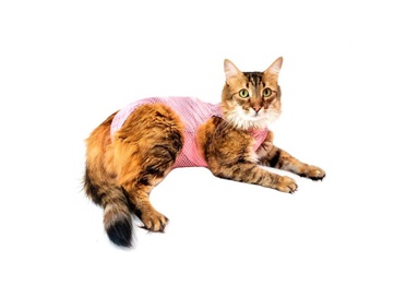 Roupa Gato Ultralight Color Rosa Ball 03  1un