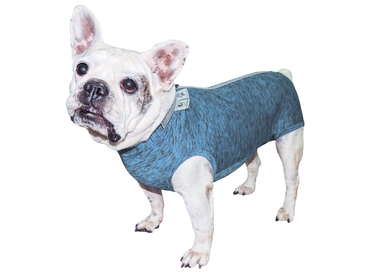 Roupa Castracao F D D Bul Frances - Azul GG  1un