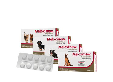 Meloxinew 0,5g  10cp hover